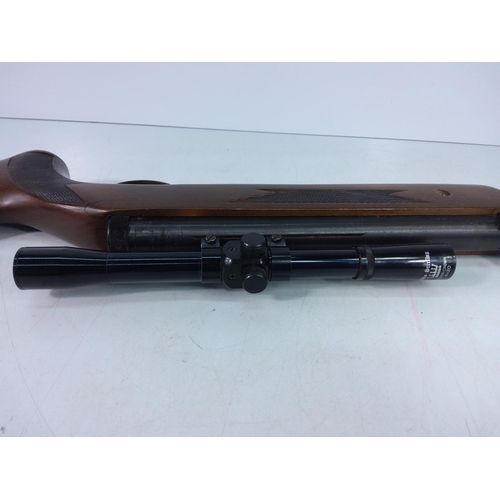 131 - .177 air rifle with scope