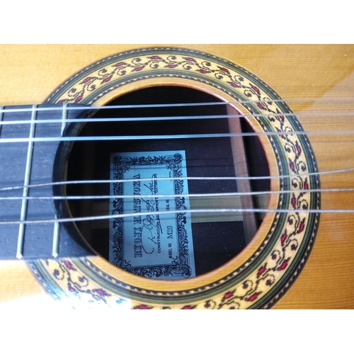 42 - Cased acoustic guitar