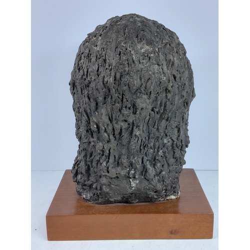 152 - Large mounted female bust on wooden base by David Kelly 1972, approx 35cms in height