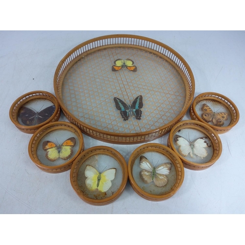 153 - Vintage 1970's rattan tray and coasters with taxidermy butterflies