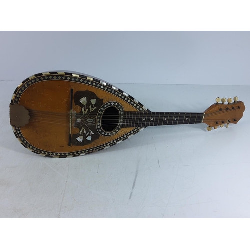 161 - Antique mandolin