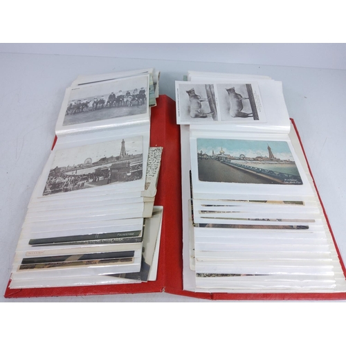 125 - Album of postcards