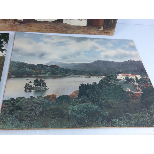 215 - Collection of 5 antique photographic images of Ceylon c1910