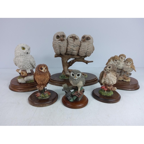 7 - 6 Owl figures