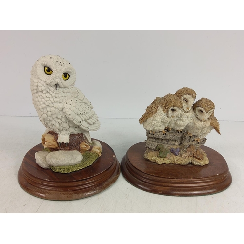 7 - 6 Owl figures