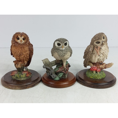 7 - 6 Owl figures