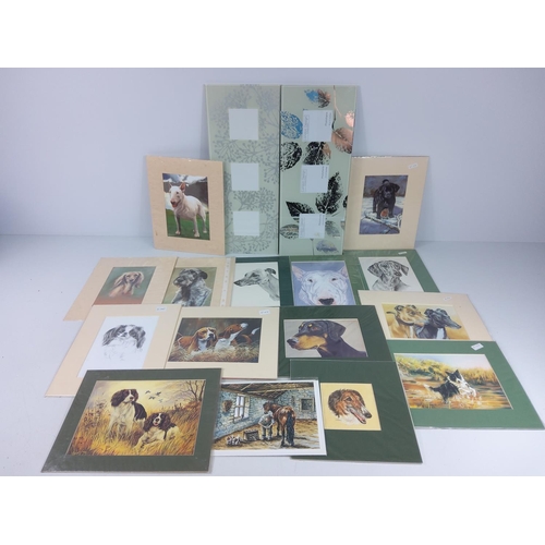 7 - Large qty of various mounted prints mainly of animals