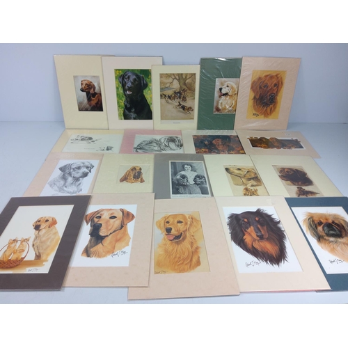 7 - Large qty of various mounted prints mainly of animals