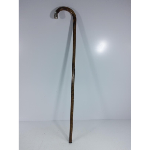 173 - Silver mounted walking stick