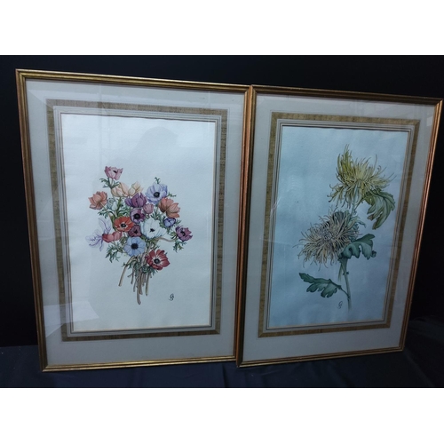 187 - 2 x large signed watercolours of flowers, 75 x 53cms