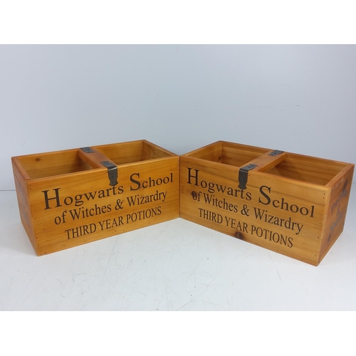 132 - 2 Hogwarts storage boxes