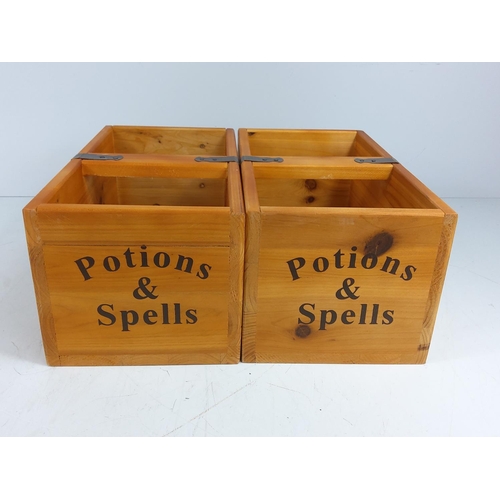 132 - 2 Hogwarts storage boxes