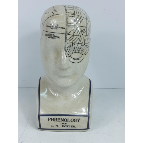 140 - Phrenology head, 22cms in height