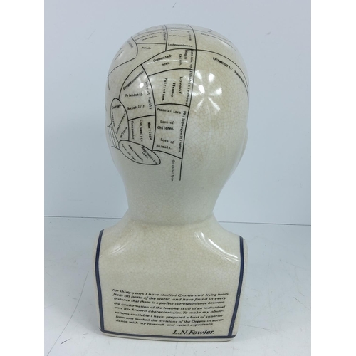 140 - Phrenology head, 22cms in height