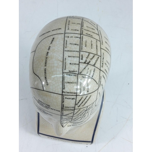 140 - Phrenology head, 22cms in height