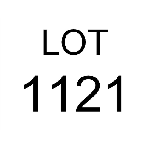 1121 - CAMERA AND ACCESSORIES