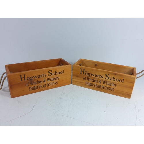 29 - 2 Hogwarts potion boxes