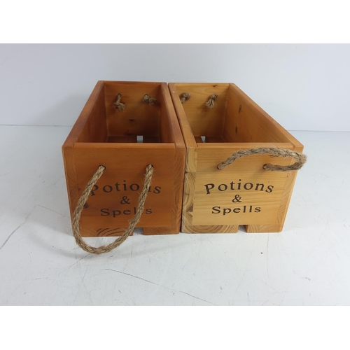 29 - 2 Hogwarts potion boxes