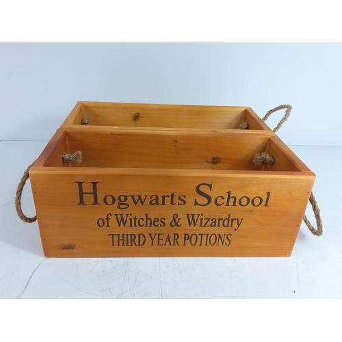 29 - 2 Hogwarts potion boxes