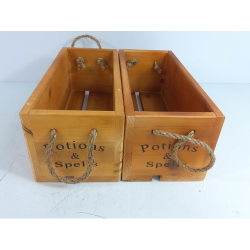 29 - 2 Hogwarts potion boxes