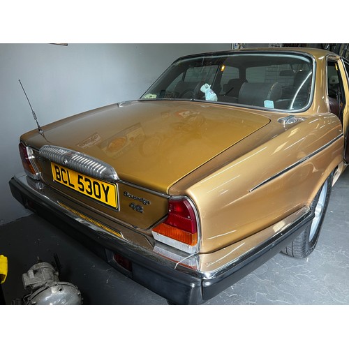 4 - 1982 Daimler sovereign 4.2 AUTO in gold.
Registration BCL530Y, currently showing mileage of 122741 m... 