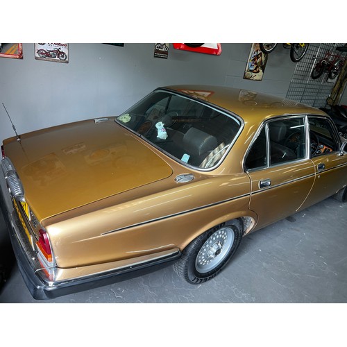 4 - 1982 Daimler sovereign 4.2 AUTO in gold.
Registration BCL530Y, currently showing mileage of 122741 m... 