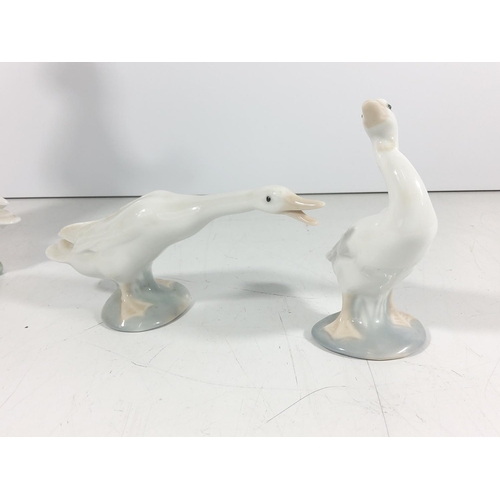 158 - Lladro lady with goose and 2 other geese