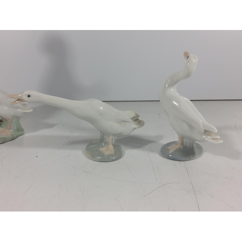 158 - Lladro lady with goose and 2 other geese