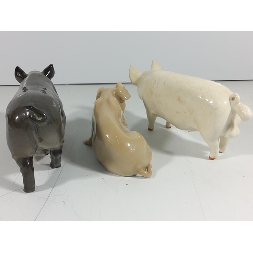 164 - 2 Beswick pigs and royal copenhagen pig