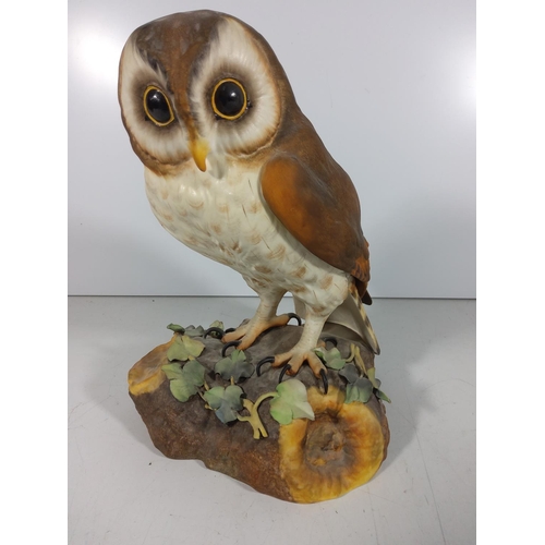 265 - Large Royal Crown Derby owl figure