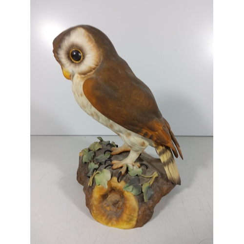 265 - Large Royal Crown Derby owl figure