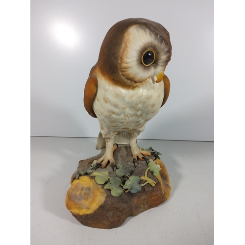 265 - Large Royal Crown Derby owl figure