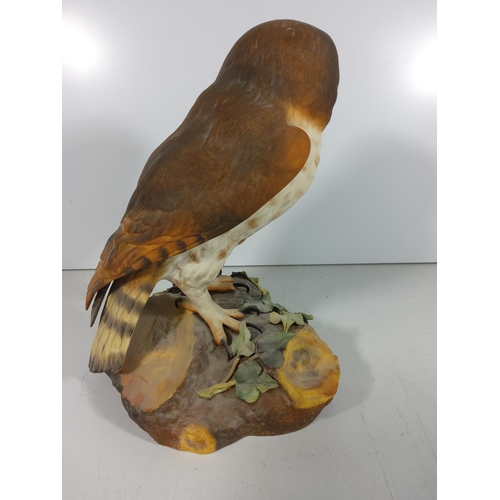 265 - Large Royal Crown Derby owl figure