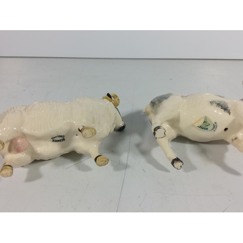 352 - Beswick sheep and goat