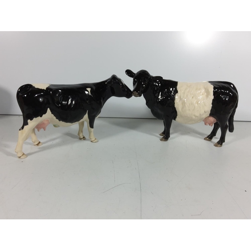 354 - 2 Beswick cows