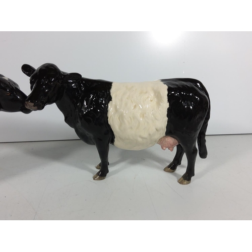 354 - 2 Beswick cows