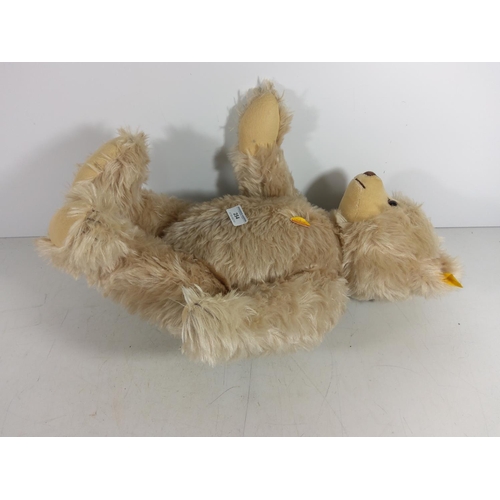 254 - Large Steiff teddy bear