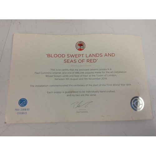 236 - Tower of London poppy with certificate