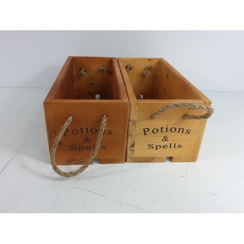 23 - 2 Hogwarts potion boxes