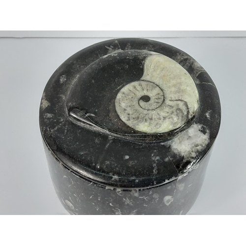 153 - Polished fossil pot and cover