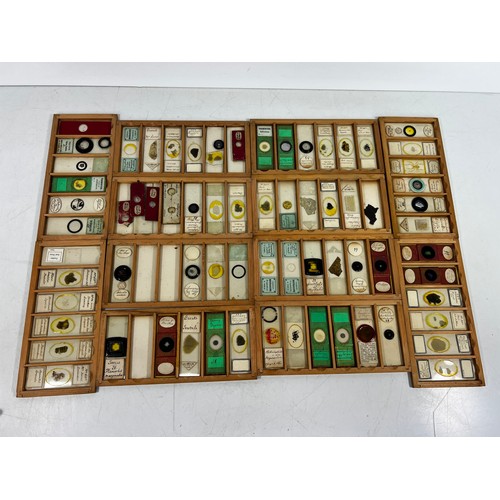 30 - Boxed set of 12 antique microscope slides, 21 x 11 x 19cms