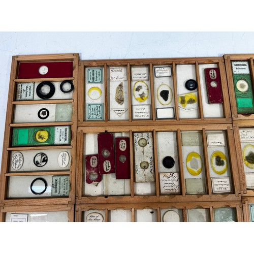 30 - Boxed set of 12 antique microscope slides, 21 x 11 x 19cms