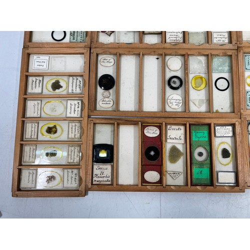 30 - Boxed set of 12 antique microscope slides, 21 x 11 x 19cms