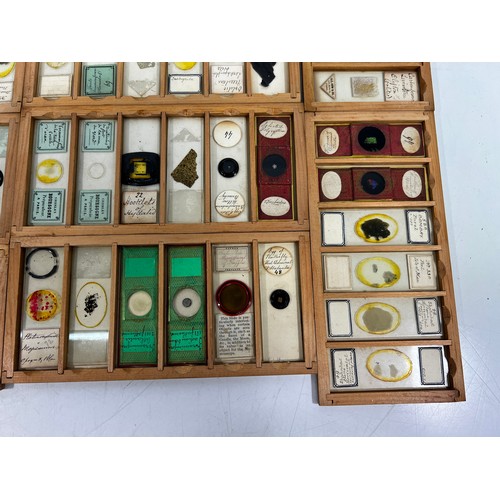 30 - Boxed set of 12 antique microscope slides, 21 x 11 x 19cms