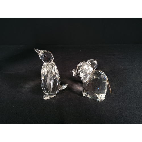 152 - Swarovski penguin and elephant, tallest being 8.5cms