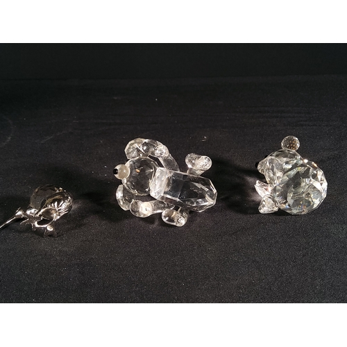 153 - Swarovski dog, Kiwi and teddy bear