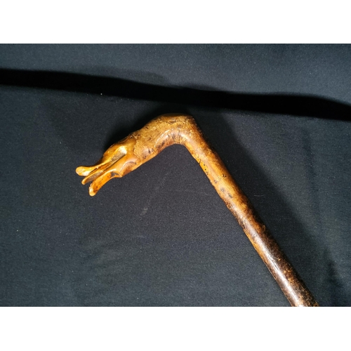 215 - Walking stick with a carved wooden duck handle