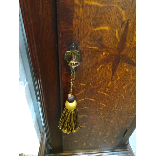 535 - Antique oak long case clock with brass dial, circa 1850, clock maker: John Murch of Honiton Devon, c... 