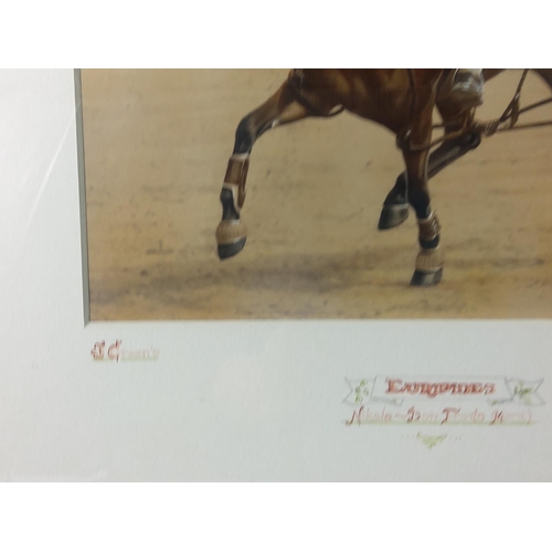 542 - Large framed picture of a 1930's race horse, signed by FN George, 60 x 57cms