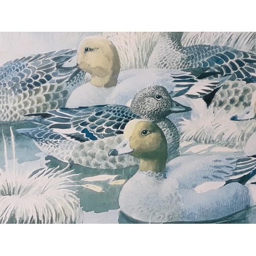 540 - Original watercolour paintings including a limited edition print of Wigeon by CF Tunnicliffe, 65 x 5... 